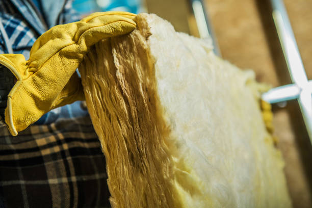 Best Eco-Friendly Insulation in Edgar, WI