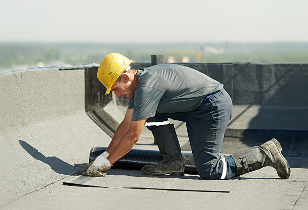 Best DIY Insulation Kits and Guidance in Edgar, WI